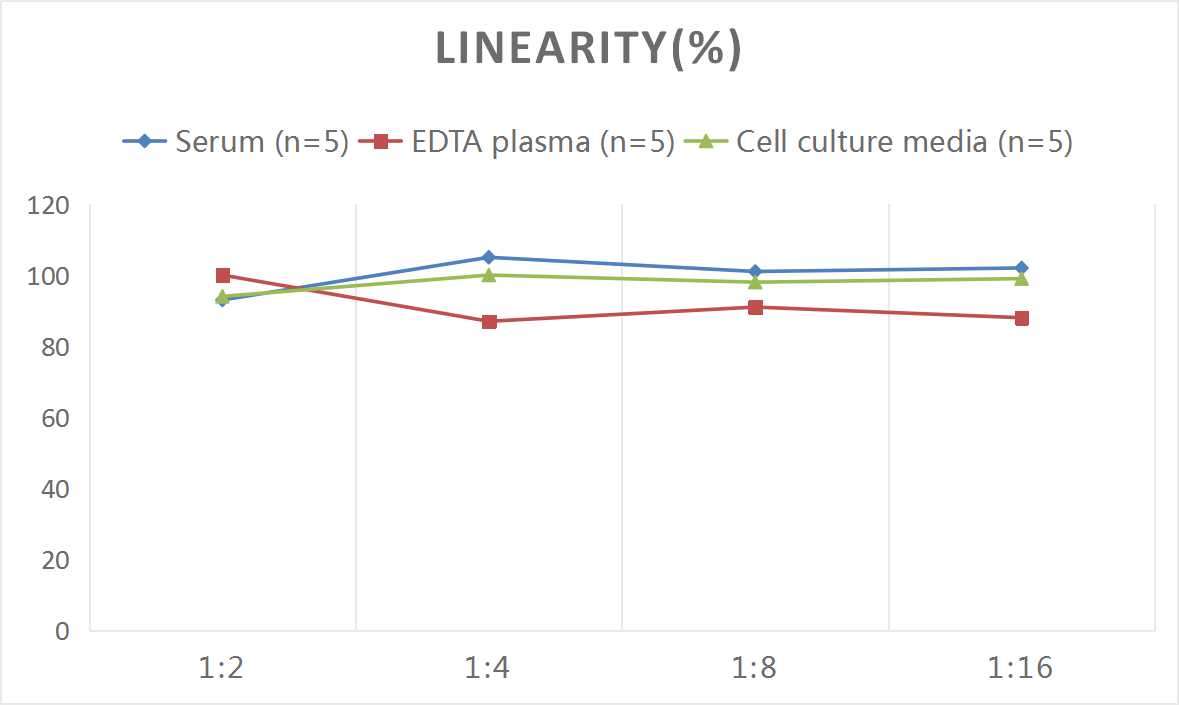 Human IgG(Immunoglobulin G) ELISA Kit-产品推荐-5