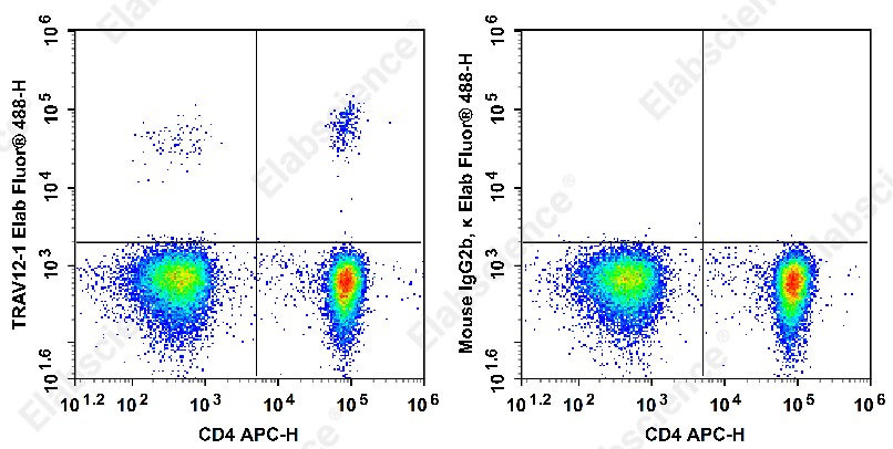 Elab Fluor<sup>&reg;</sup>488 Anti-Human TCRβV 12 Antibody[S511] - 1