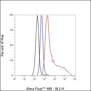 Recombinant S100A8 Monoclonal Antibody - small - 5