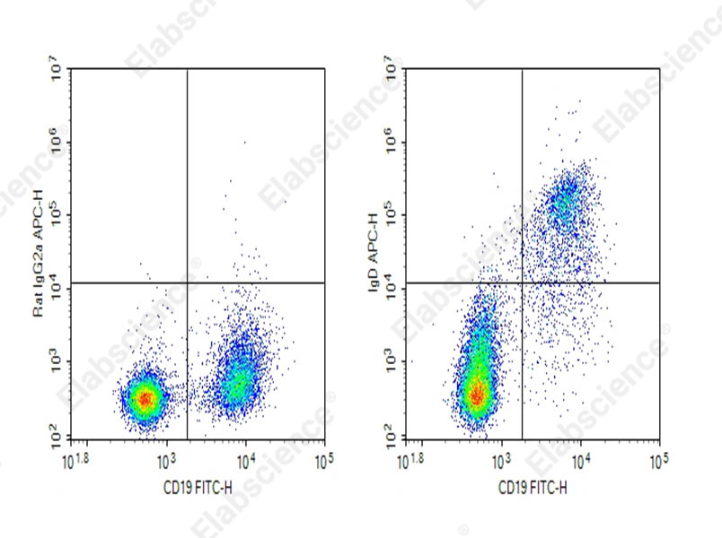 Purified Anti-Mouse IgD Antibody[E10651R] - 1