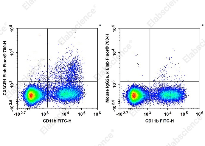Elab Fluor<sup>®</sup>700 Anti-Mouse CX3CR1 Antibody[SA011F11]-searchlist-1