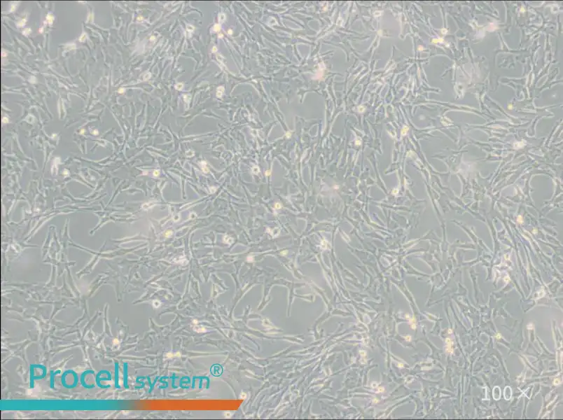 Super Tube Cell Complete MediumSuper Tube Cell Complete Medium - 3