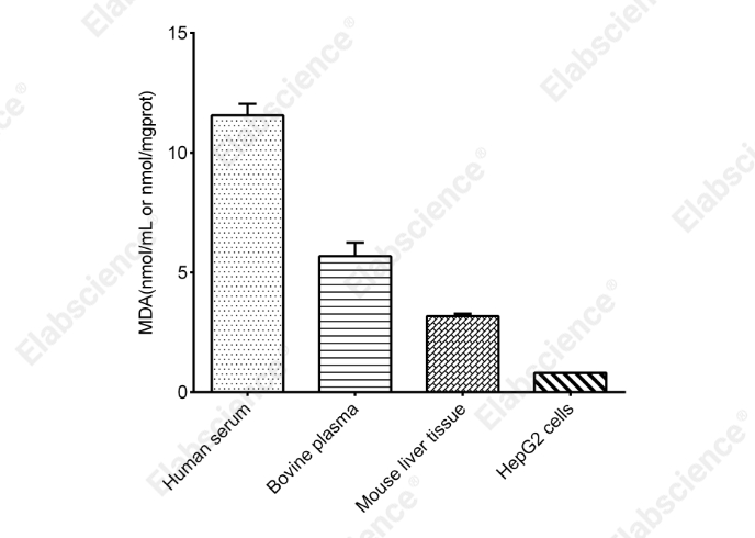 Malondialdehyde (MDA) Colorimetric Assay Kit (TBA Method) - 2