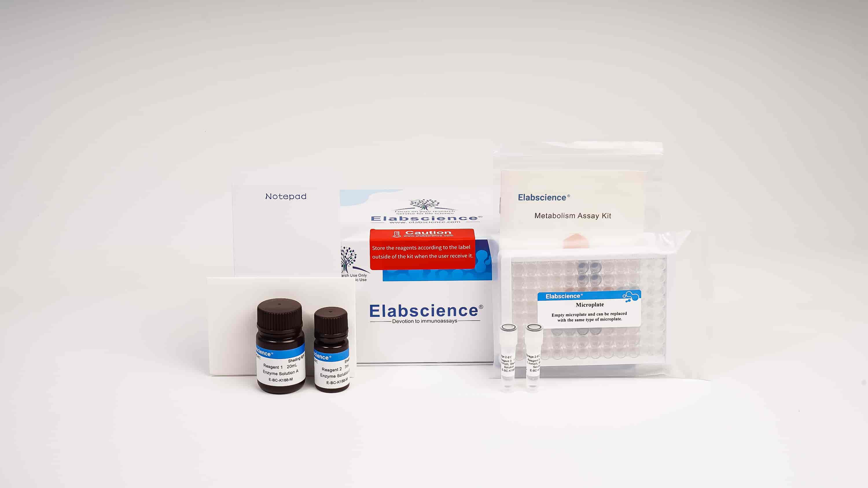 α-Ketoglutarate Dehydrogenase (α-KGDH) Activity Colorimetric Assay Kit - 3