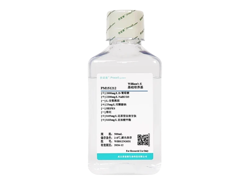 https://789.bio/ec/2ozeMV1Q