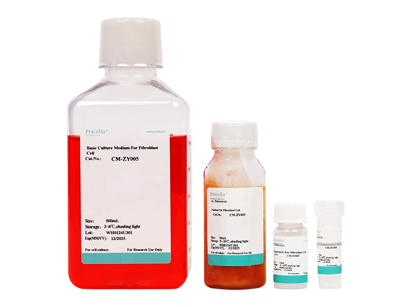 Fibroblast Medium (FM)-searchlist-1