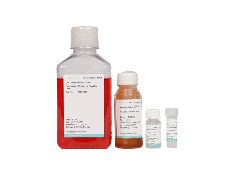 Fibroblast Medium (FM)