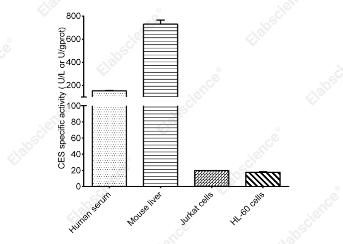 Carboxylesterase (CES) Activity Colorimetric Assay Kit - 2