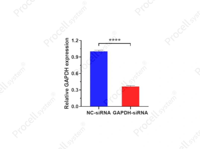 Mergene1000<sup>&reg;</sup> MCF-7 [MCF7] Cell-Specific siRNA Transfection Reagent - 2