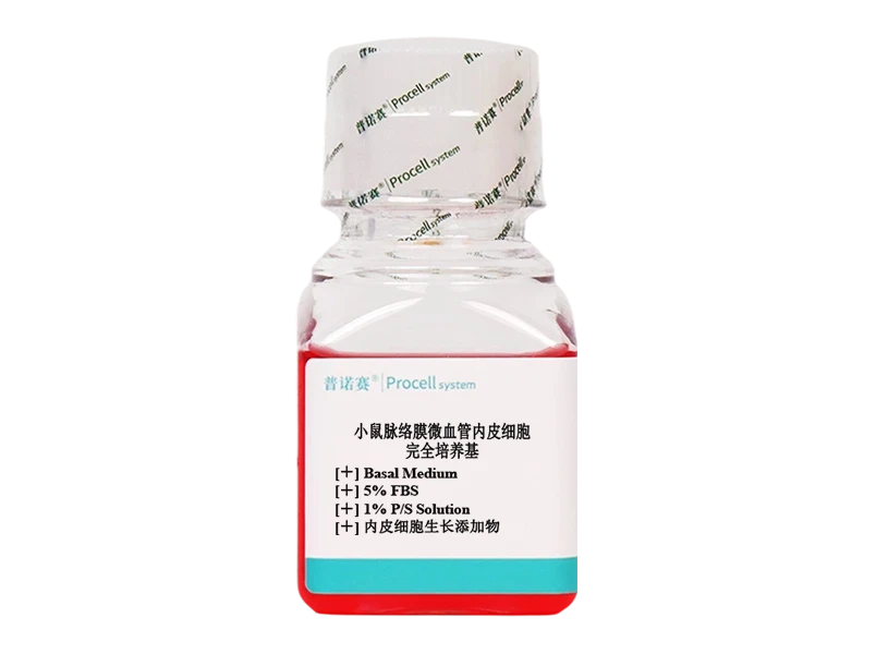 https://789.bio/ec/3B9r3V8R