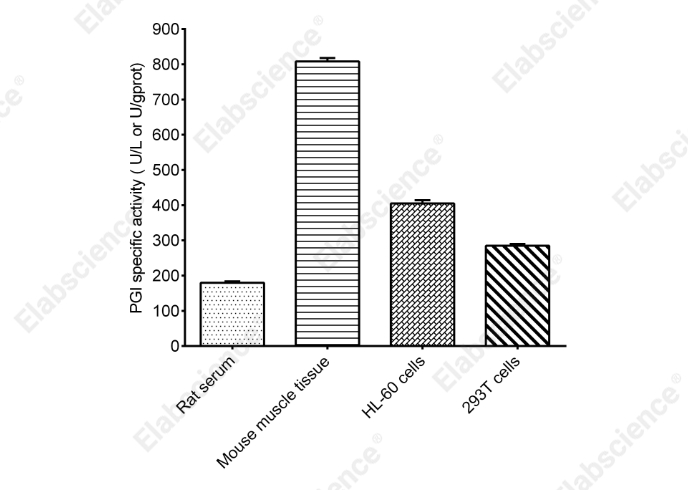 Phosphoglucose Isomerase (PGI) Activity Colorimetric Assay Kit - 2