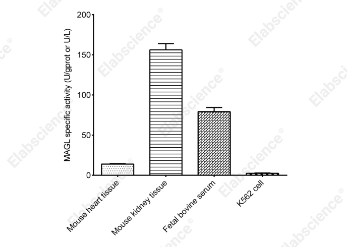 Monoacylglycerol Lipase (MAGL) Activity Colorimetric Assay Kit - 2
