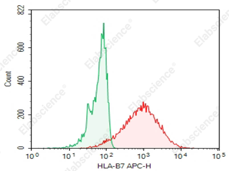 Purified Anti-Human HLA-B7 Antibody[BB7.1] - 1