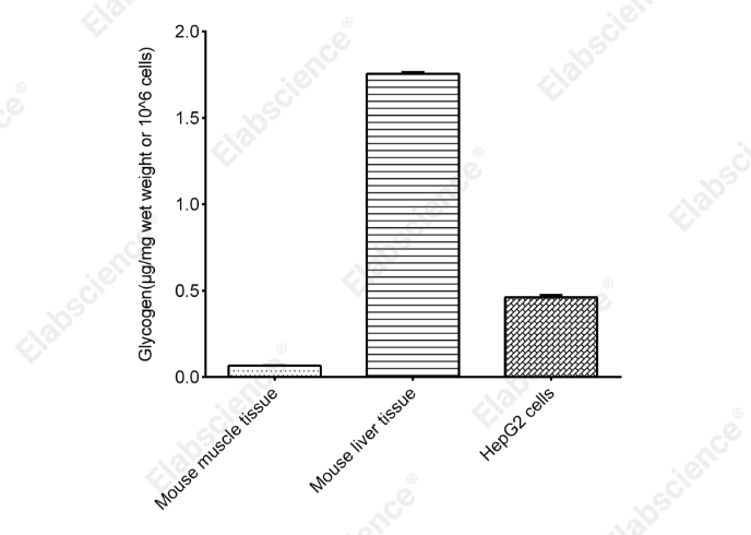Glycogen Fluorometric Assay Kit (Glycosidase Method) - 2