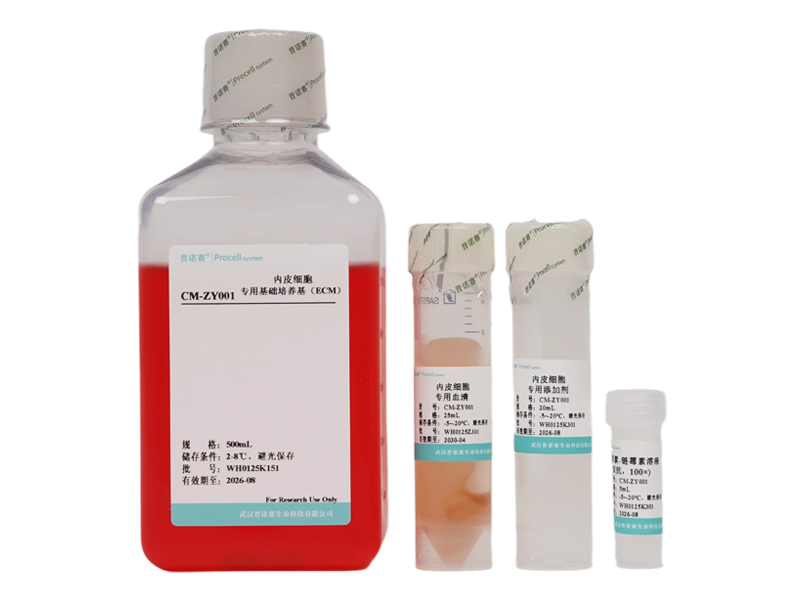 Endothelial Cell Medium (ECM)-searchlist-1