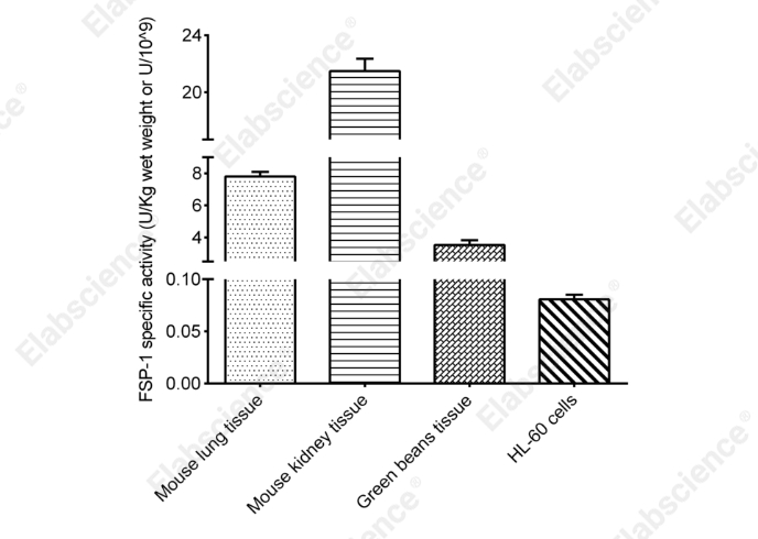 Ferroptosis Suppressor Protein-1 (FSP-1)  Activity Fluorometric Assay Kit - 2