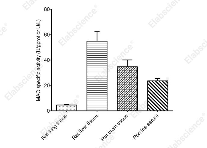 Monoamine Oxidase (MAO) Activity Assay Kit - 1