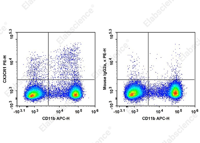 PE Anti-Mouse CX3CR1 Antibody[SA011F11]-searchlist-1