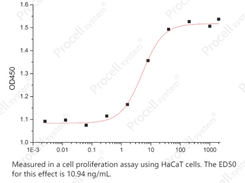 FGF-7/KGF (C-6His), Human, RecombinantFGF-7/KGF (C-6His), Human, Recombinant - 2
