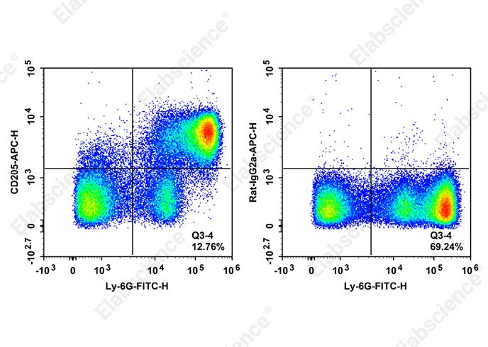 APC Anti-Mouse CD205 Antibody[NLDC-145]-1