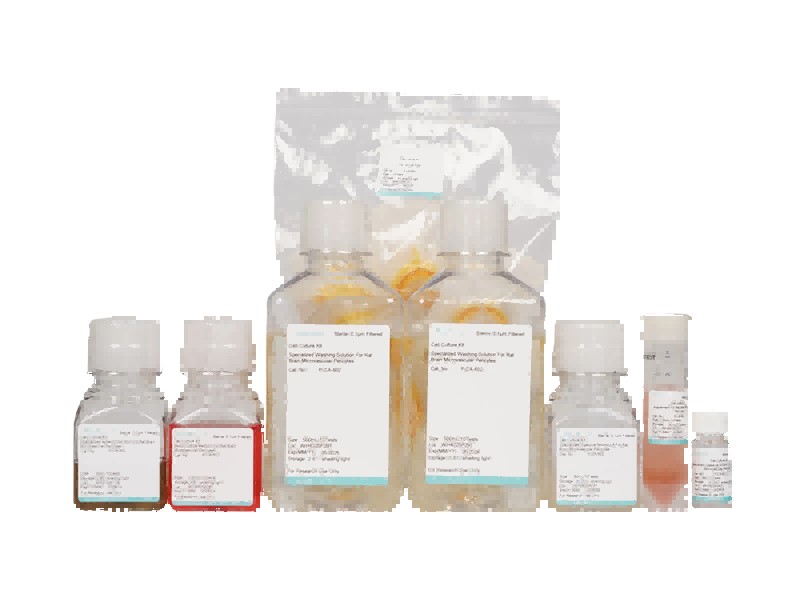 Rat Brain Microvascular Pericyte Isolation and Culture KitRat Brain Microvascular Pericyte Isolation and Culture Kit - 2