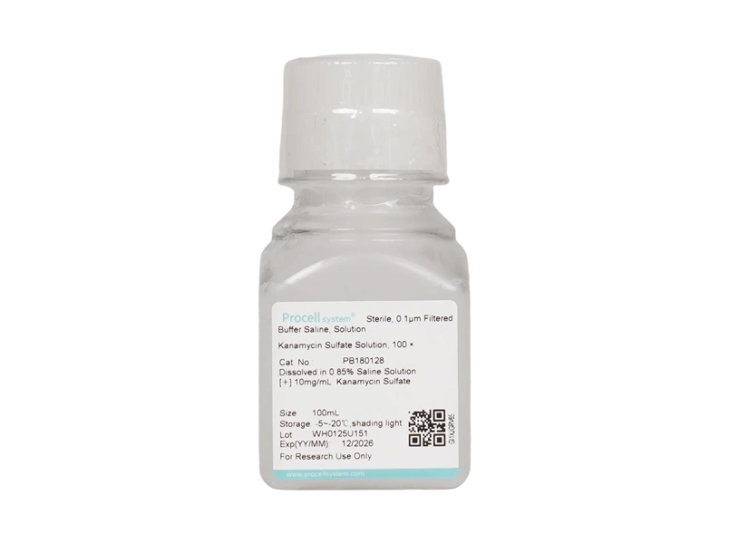 Kanamycin Sulfate Solution, 100 &times;