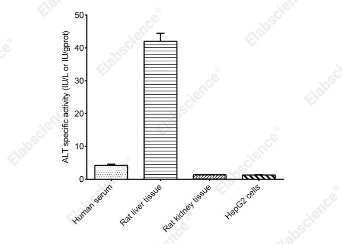 Alanine Aminotransferase (ALT/GPT) Activity Assay Kit - 2
