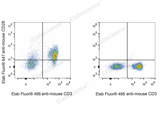 C57BL/6 murine splenocytes are stained with Elab Fluor® 647 Anti-Mouse CD28 Antibody and Elab Fluor® 488 Anti-Mouse CD3 Antibody (Left). Splenocytes stained with Elab Fluor® 488 Anti-Mouse CD3 Antibody (Right) are used as control.