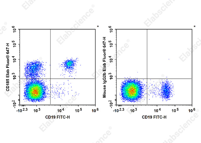Elab Fluor® 647 Anti-Human CD185 Antibody[MU5UBEE]-1