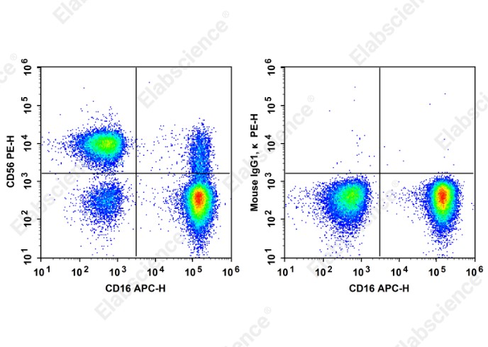 PE Anti-Human CD56 Antibody[HCD56] - 1