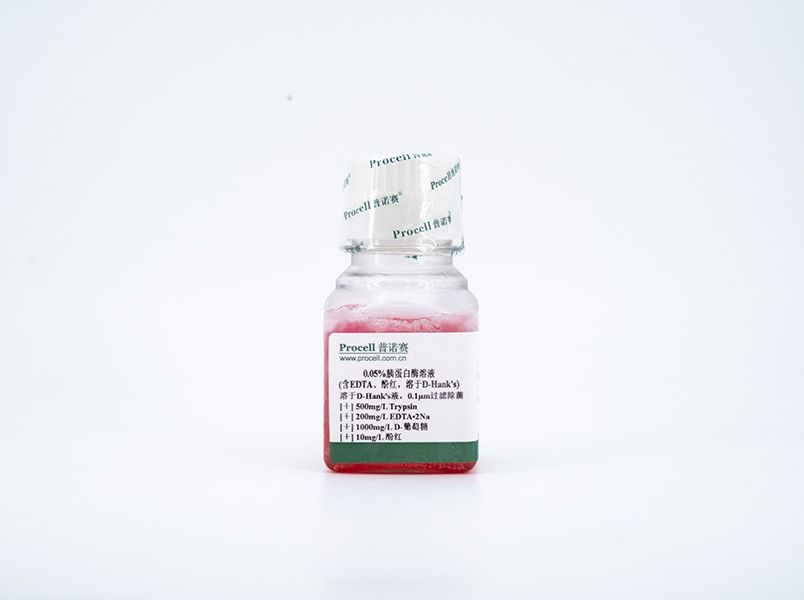 https://789.bio/ec/48Gl1C
