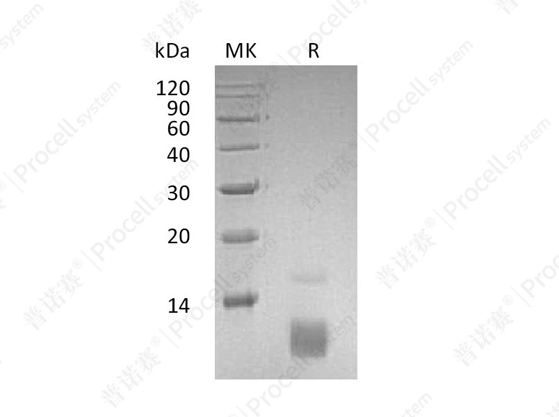 https://789.bio/ec/4C8l90
