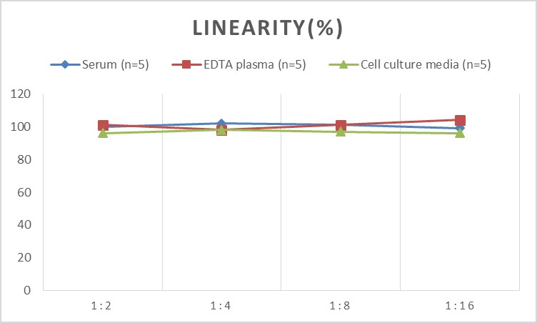 Mouse IFN-γ(Interferon Gamma) ELISA Kit-产品推荐-4