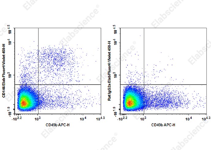 Elab Fluor® Violet 450 Anti-Mouse CD146 Antibody[ME-9F1]-1