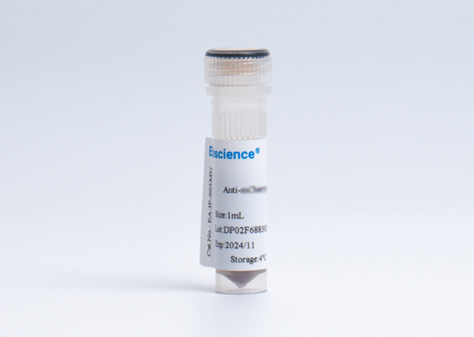 Anti-HA Nanobody Immunomagnetic Beads - small - 2