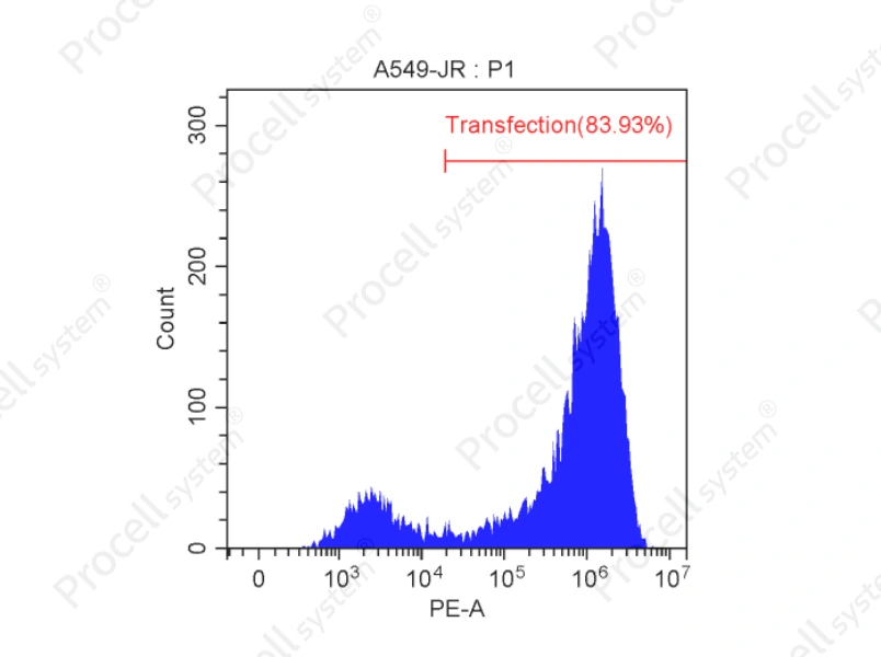 Mergene1000<sup>&reg;</sup> A549 [A-549] Cell-Specific mRNA Transfection Reagent - 2