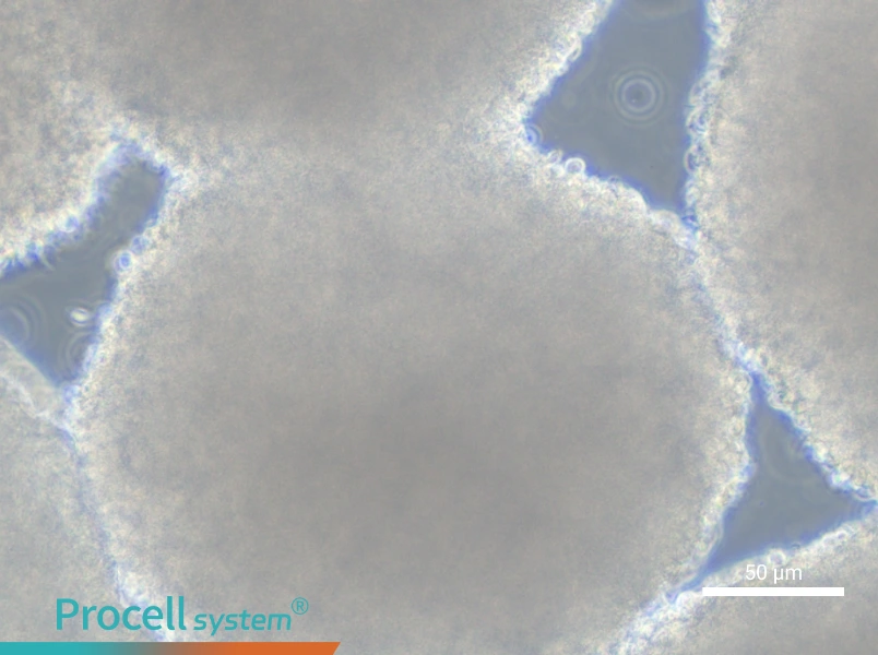 GM12878 Cell Complete MediumGM12878 Cell Complete Medium - 4