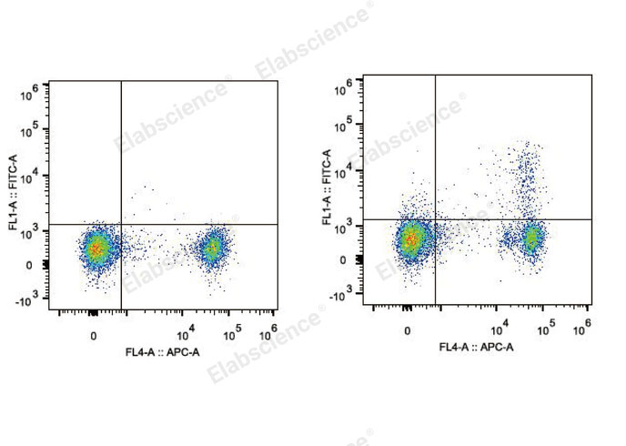 C57BL/6 murine splenocytes are stained with FITC Anti-Mouse CD25 Antibody and APC Anti-Mouse CD4 Antibody (Right). Splenocytes stained with APC Anti-Mouse CD4 Antibody (Left) are used as control.