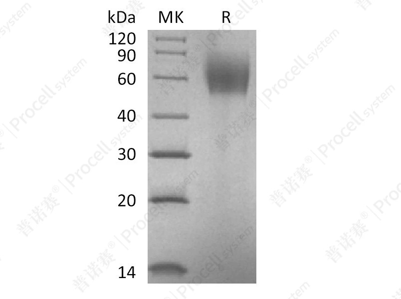 https://789.bio/ec/4ORxWD