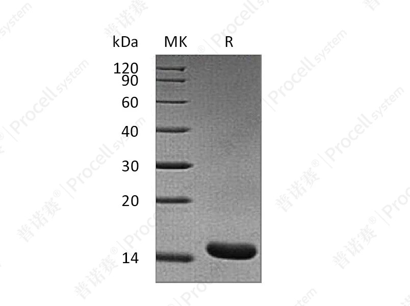 https://789.bio/ec/4OlaL4