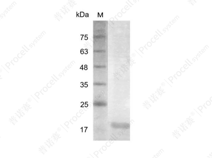 https://789.bio/ec/4R4x14
