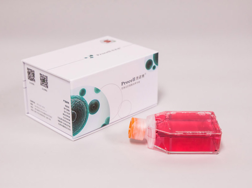 https://789.bio/ec/4RxPCR