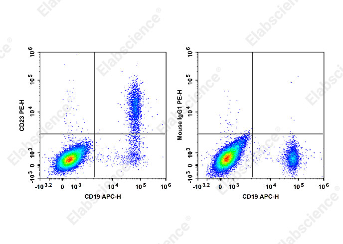 PE Anti-Human CD23 Antibody[EBVCS2]-1