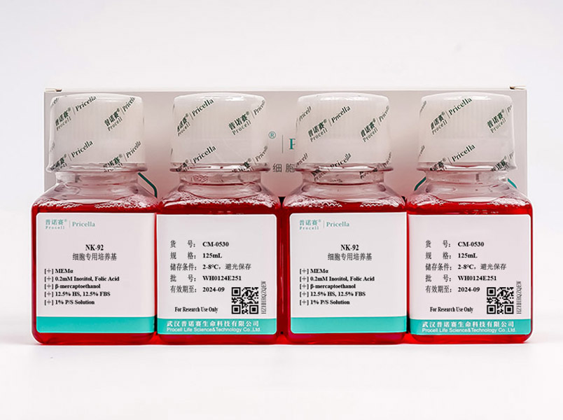 https://789.bio/ec/4VPpHC