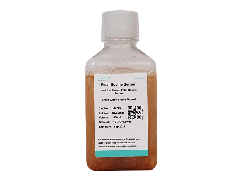 Heat Inactivated Fetal Bovine Serum