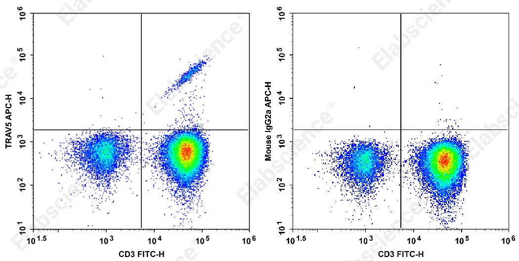 APC Anti-Human TRAV5 Antibody[MH3-2] - 1