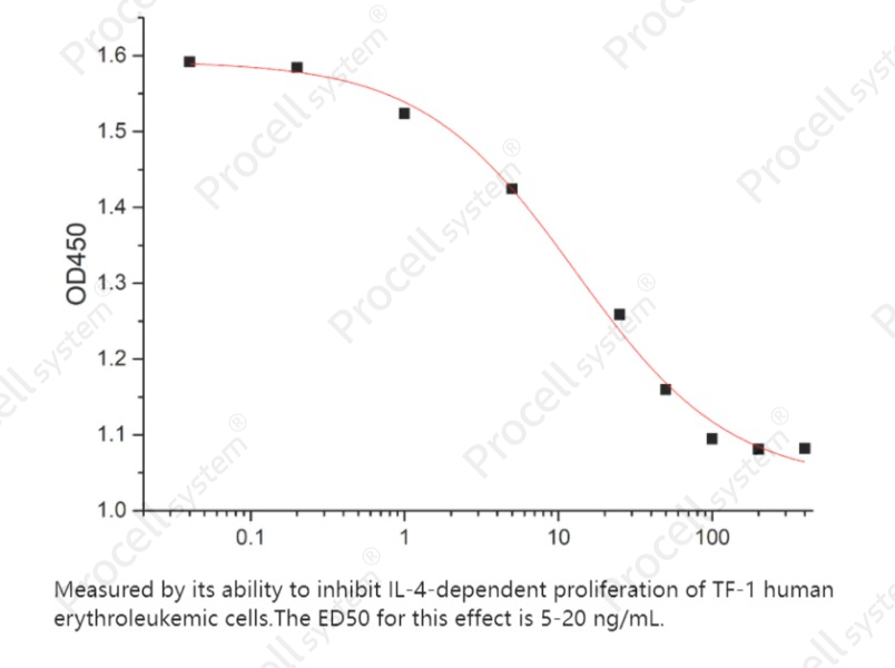 IL-4Rα/CD124 (C-Fc), Human, RecombinantIL-4Rα/CD124 (C-Fc), Human, Recombinant - 2
