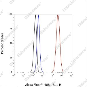 Recombinant GPNMB Monoclonal Antibody - 4