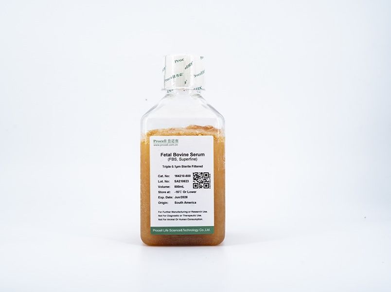 https://789.bio/ec/4daLG0
