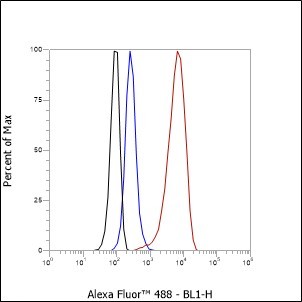 Recombinant Pin1 Monoclonal Antibody - small - 5